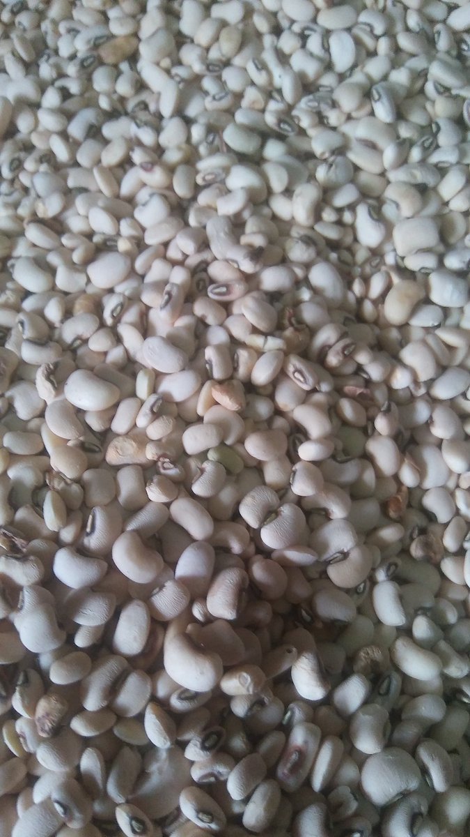 madou_dit's tweet image. Ets. Yo et fils vende des céréales de toute qualité naturelle et produits en Afrique.veillé passé vos commandes...