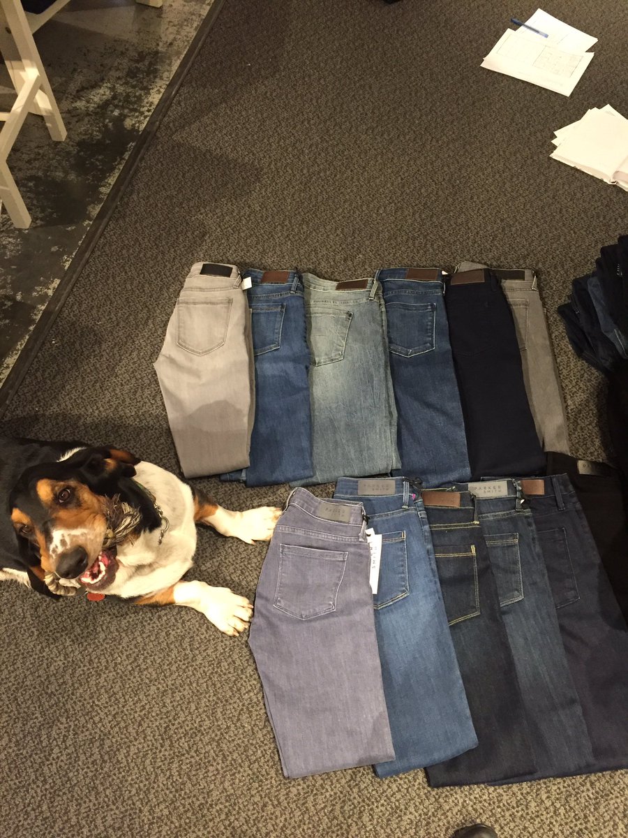 #HappyNationalDogDay from our espy pup Bruno .. he loves to help pick your jeans and babysit your kids <a href="/espystylists/">espy stylists</a>
