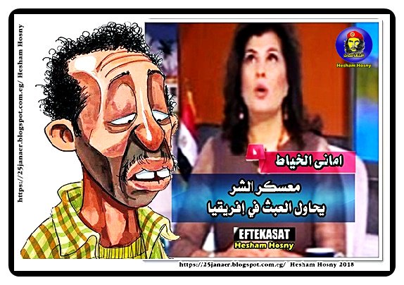 امانى الخياط معسكر الشر يحاول العبث في إفريقيا