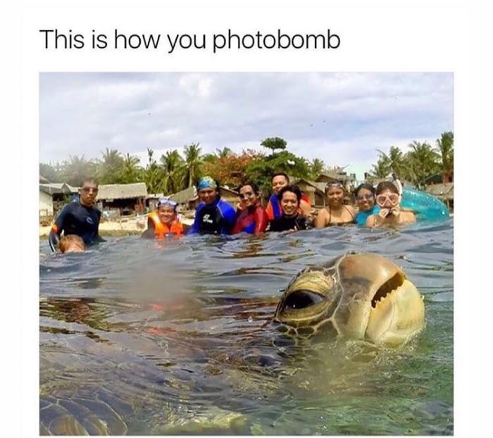 WholesomeMeme's tweet photo. #WholesomeMeme #memes https://t.co/gdMC48Q5xT