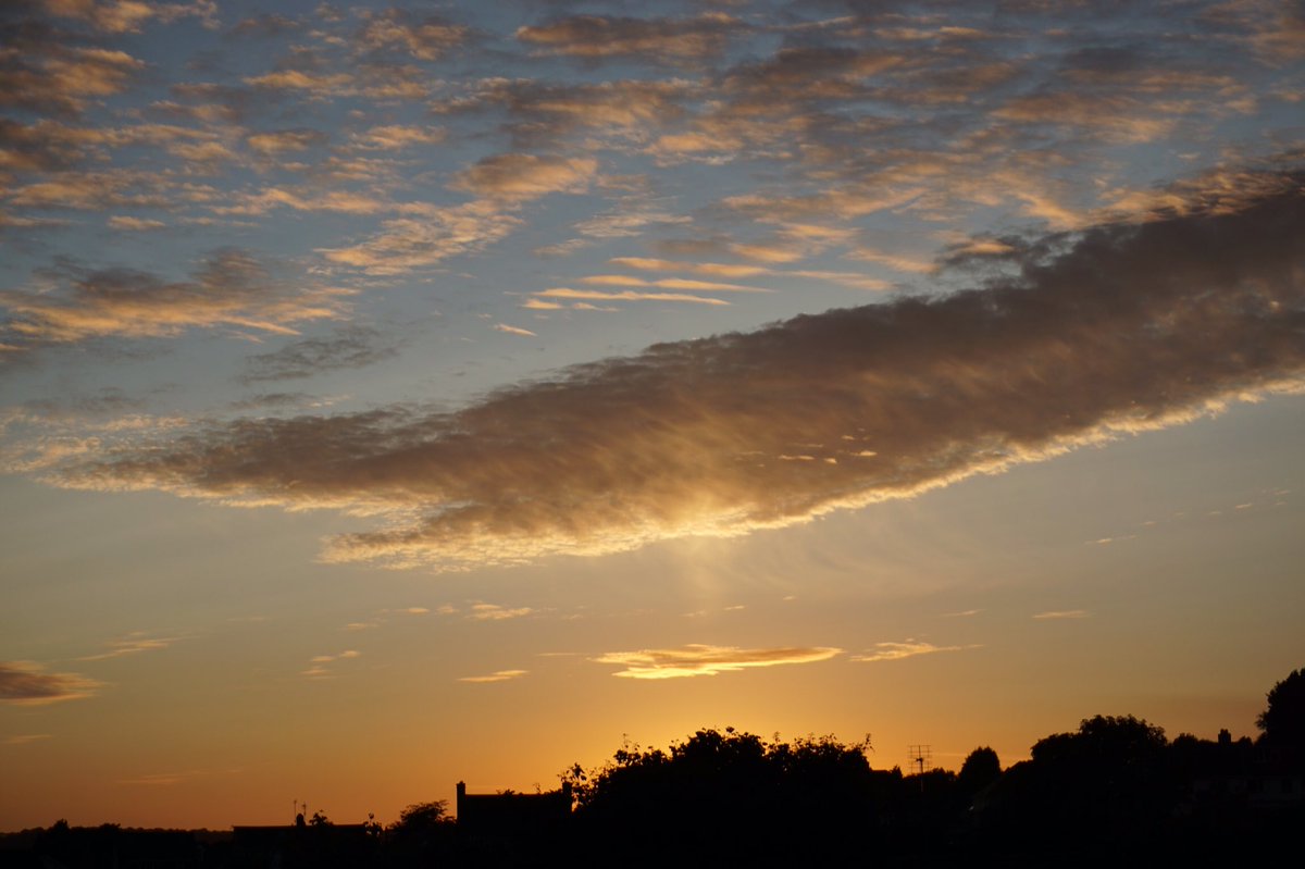 John Maclaughland tweet media