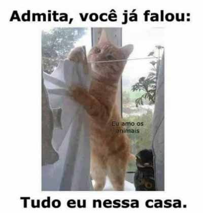 davidcleber70's tweet photo. #TodoMundoJa https://t.co/vIVj6eU08y