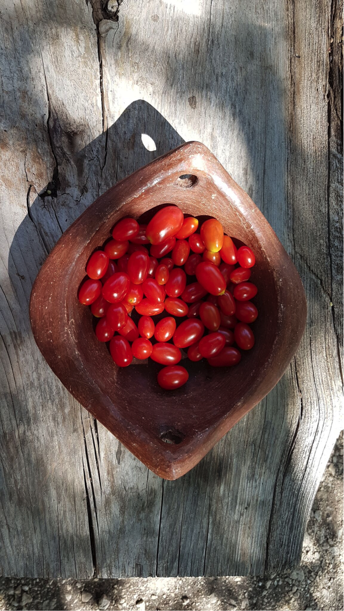 Organic #cherrytomato, straight from #Biomass farm at #TawletBiomass. Cherry je t'adore... Enjoy our weekend buffet this Sunday. 03.532.532