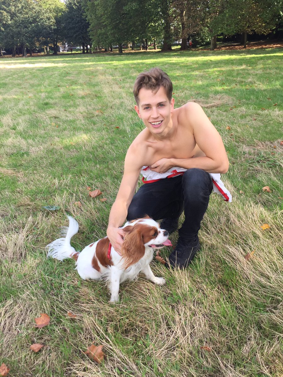 TheVampsJames's tweet photo. My favourite pooches this  #NationalDogDay https://t.co/sqYkO54h3V