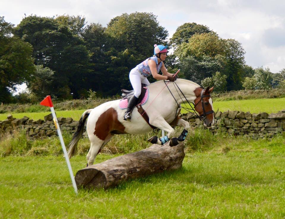 JockeySimpson's tweet photo. @FarnleyEstate thank you so much for a fabulous day #farnleytyasride #colouredcob #maxicob #jumpingcob #pferd #cheval #lovemyhorse https://t.co/VHlSNeAv2C