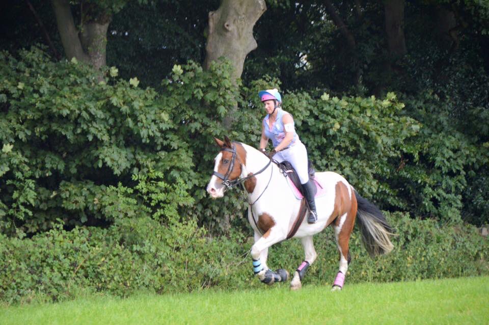 JockeySimpson's tweet photo. @FarnleyEstate thank you so much for a fabulous day #farnleytyasride #colouredcob #maxicob #jumpingcob #pferd #cheval #lovemyhorse https://t.co/VHlSNeAv2C