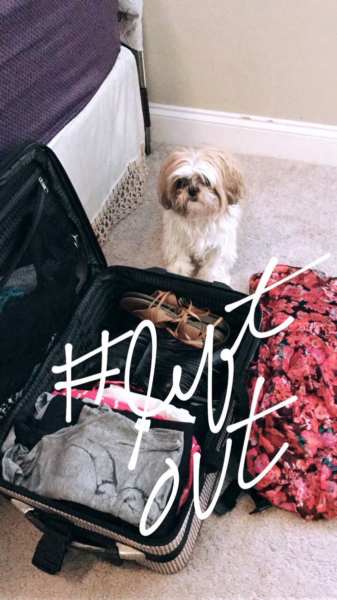 briingramusic's tweet photo. Packing! #nashville sorry pooch you aren't coming this time 🐶 https://t.co/OUPryG86UV