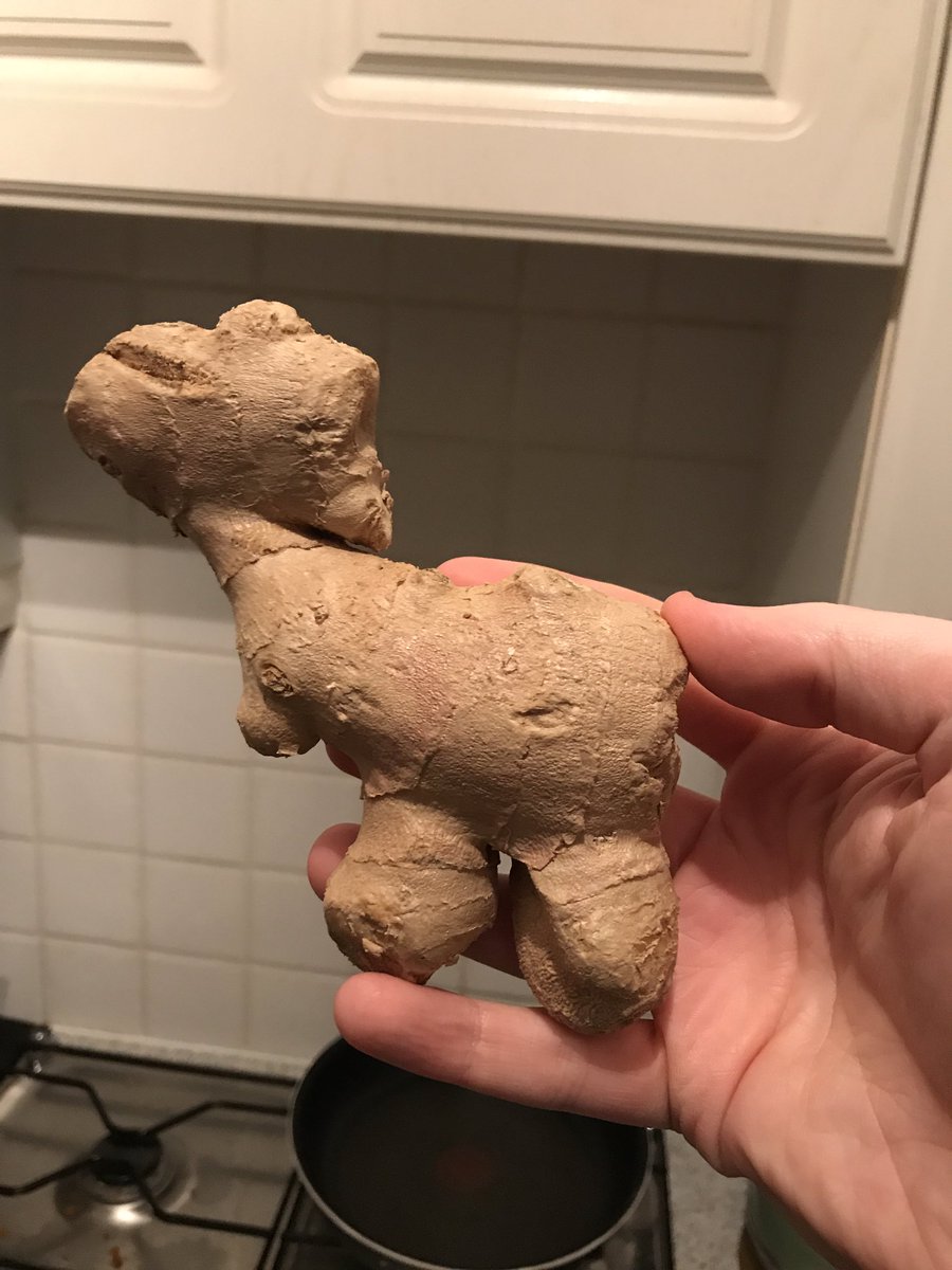 Kowalskiy's tweet photo. @Tesco are selling T-Rex shaped ginger these days https://t.co/mZ8FRpTeHl