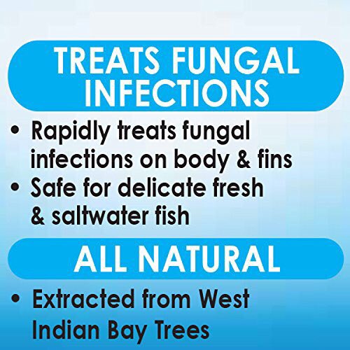 EveryVitamins's tweet photo. API PIMAFIX Antifungal Freshwater and Saltwater Fish Remedy - 16 Floz  https://t.co/2NwmcmryzU https://t.co/M9He8q4dlg