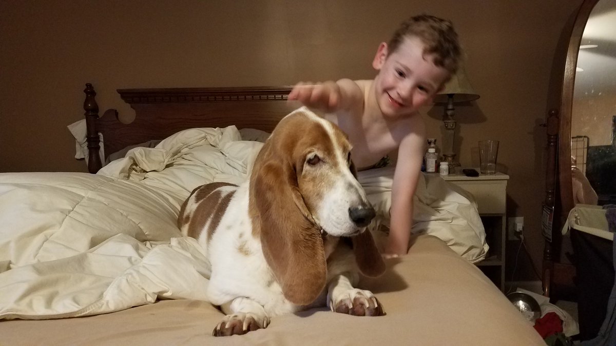 BabyGover's tweet photo. Happy #NationalDogDay, Jolene. I'm glad you're my older sister. https://t.co/l8VxSxqdrj