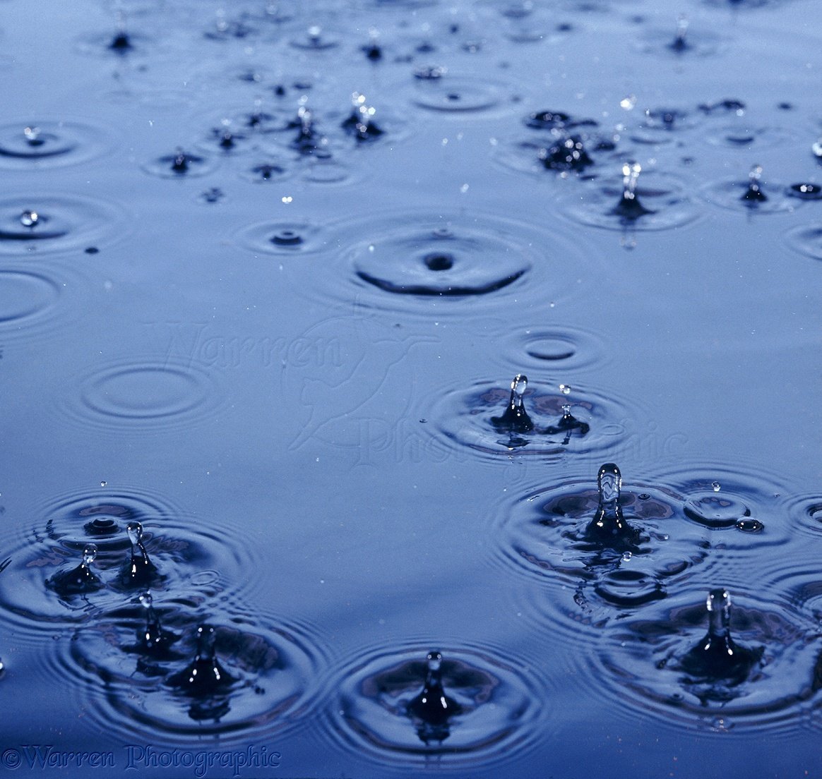 Капли воды