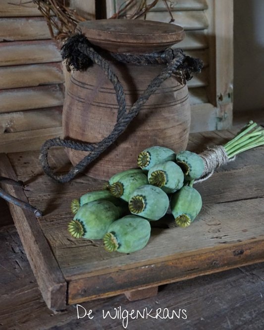 DeWilgenkrans's tweet photo. #papaver  mooie toef met papaver   https://t.co/bvBFrlyUWC #groen #decoratie https://t.co/IOxSXgwozv