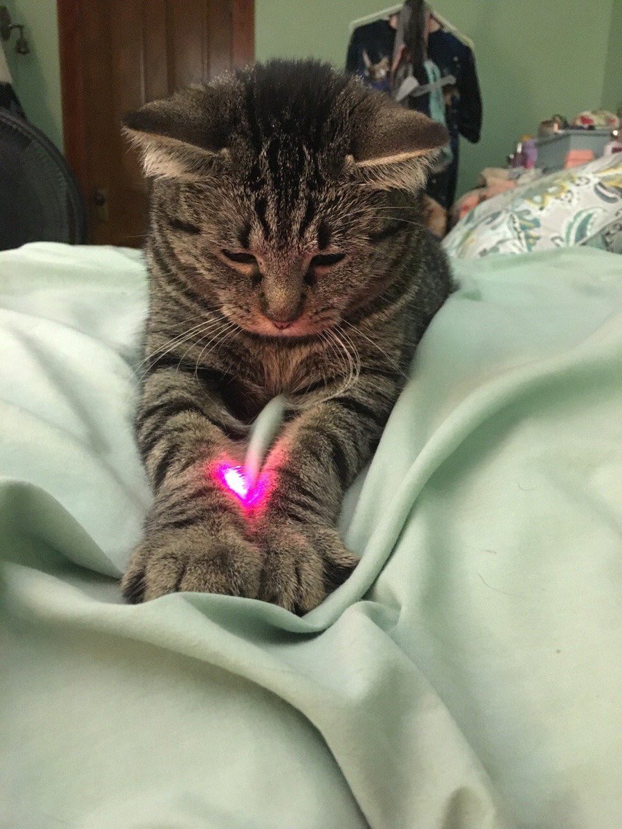 catsporn's tweet photo. 🐱🐱 https://t.co/RjKckw1KrA