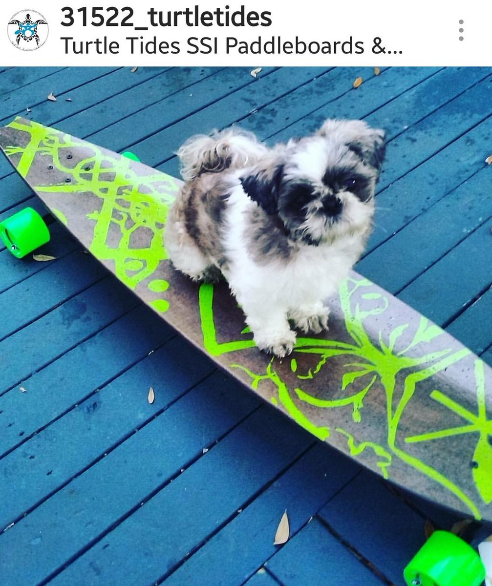 TidesTurtle's tweet image. #NationalDogDay 
We love SUP and ALL THE PUPS!
912-222-2190
Come on by the shop and bring your friend We have treats for all! 🤗
#turtletides