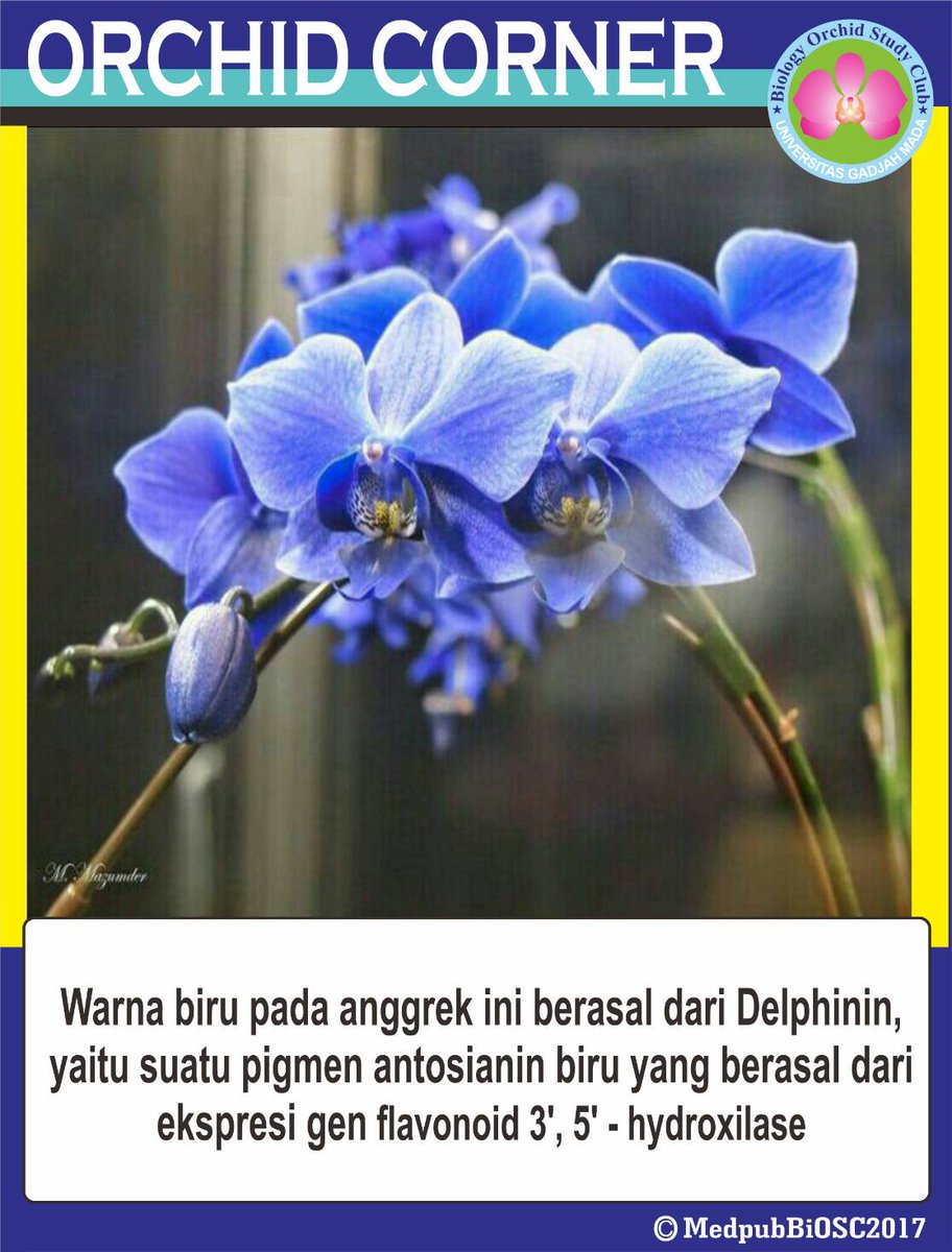 BiOSC UGM tweet media