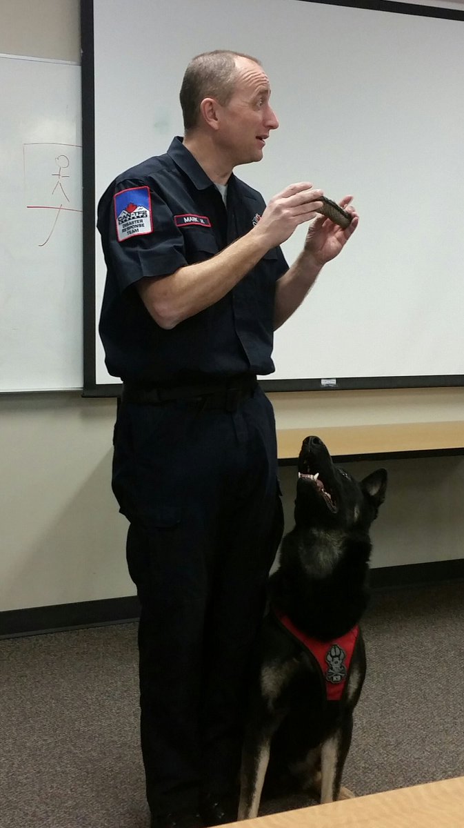 CANTF2's tweet photo. We're incredibly proud of our amazing Canine members and their handlers who provide so much to our team. #NationalDogDay https://t.co/PnBi62aPiq