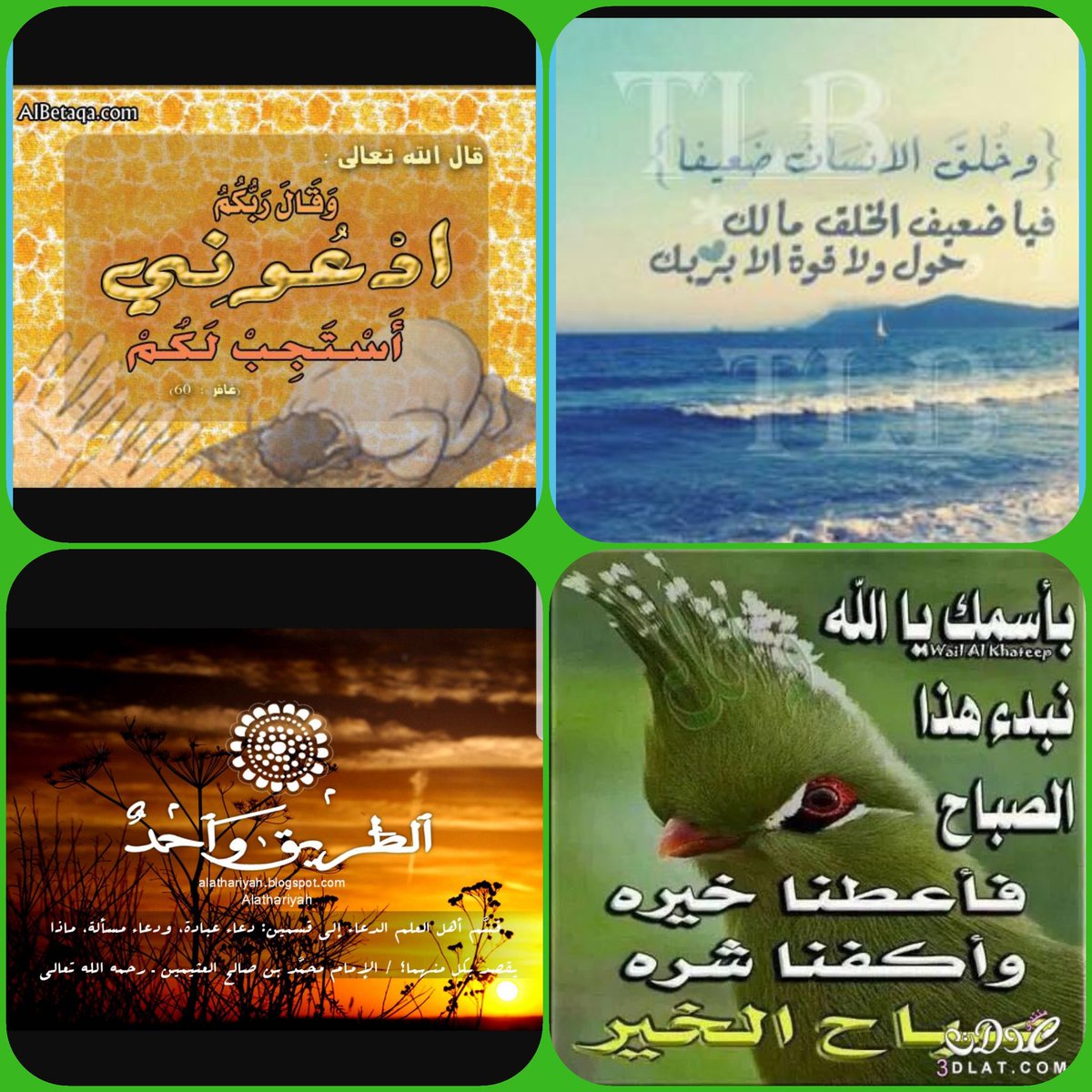 roo7aleit7ad's tweet photo. @adquran الدعاء عبادة والتوفقيق للعبادة من دلائل رضى الله عن العبد وان تأخرت الإجابة بارك الله فيكم وفي أعمالكم الموضوع جميل https://t.co/5tbdctHFVE
