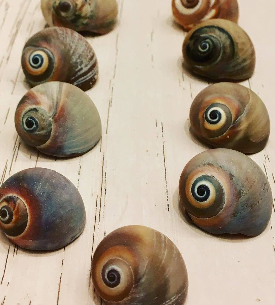 agr3's tweet photo. Beach haul. Here's lookin' at you @skherz https://t.co/GXa8N7qJaL