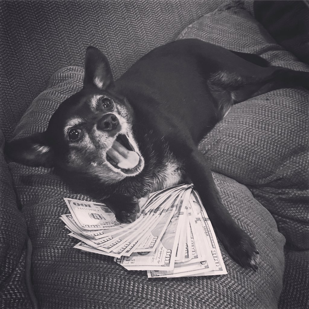 #MayweathervMcgregor #underdog #fightnight #thenotorious