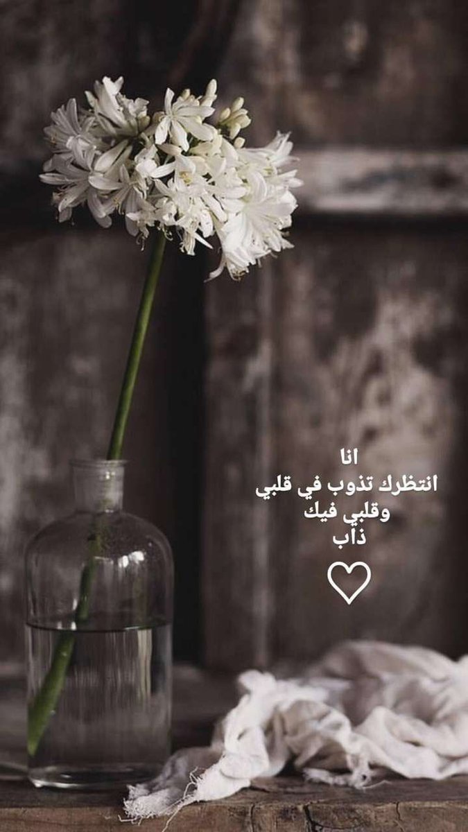 7bos7's tweet photo. صور متنوعة https://t.co/MxwyFfAdZE