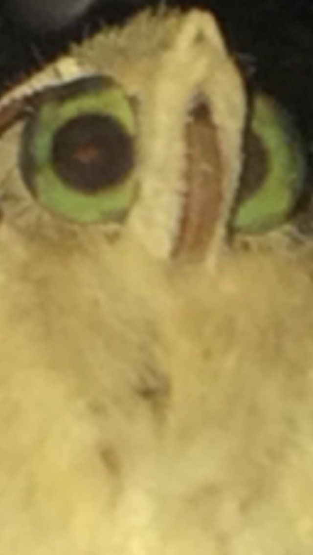 trknglpl tweet picture