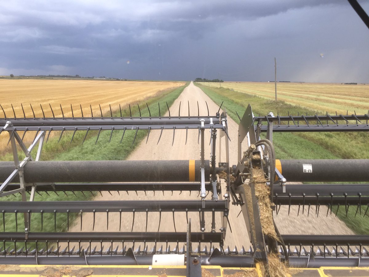 TroyBasaraba's tweet photo. Switching to the next field #thatdoesn'tlookpromising https://t.co/kBeEeXpcuC