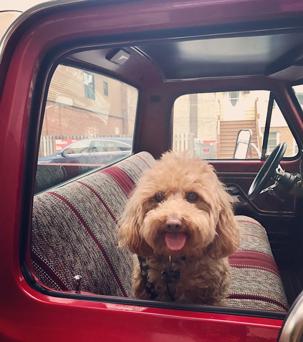 HeyInBedWith's tweet image. The road's a little brighter with your best friend beside ya'. Happy #nationaldogsday!