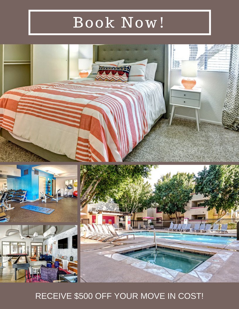 PaseoUniversity's tweet image. Book now to receive $500 off your move in cost! #12fifty5 #500off #greystarsl