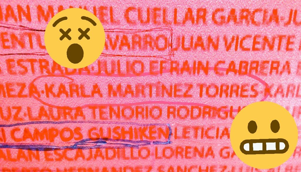 karlamtztorres's tweet photo. Encontré mi nombre!! #MaratonCdMxTelcel https://t.co/QT3VEaOUGX
