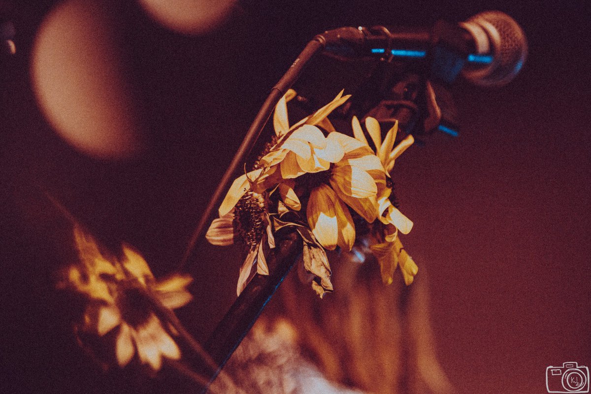 Kaitlyn Johnston || Chicago Photographer tweet media