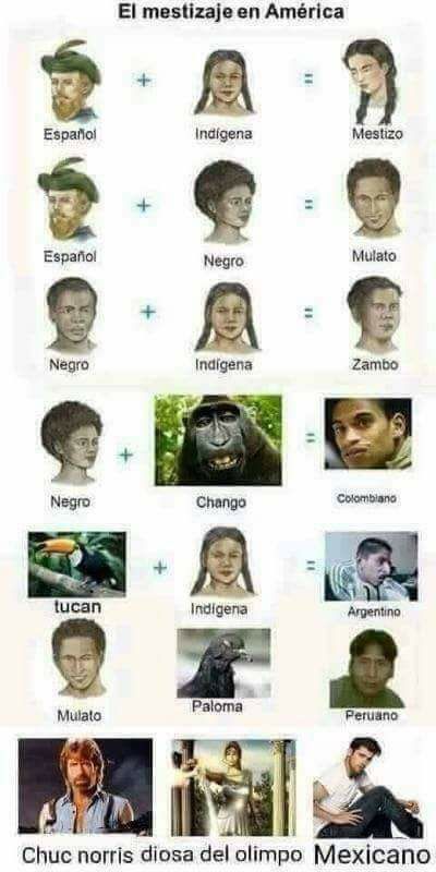 palomitamix's tweet photo. #MejicoTierraDeSimios no se equivoquen busquen aquí su descendencia centroamericanos muertos de hambre https://t.co/jO8daTAc7Q