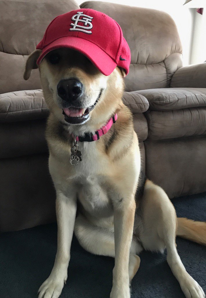 tsims1962's tweet photo. #CardsFanGram https://t.co/626iTKEwwL