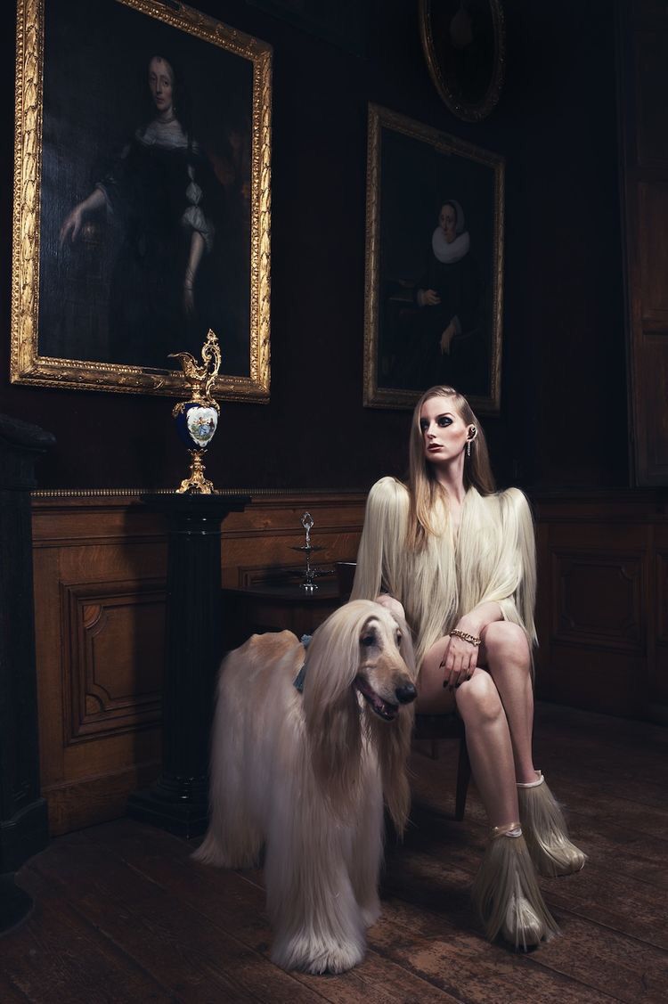 my71mag's tweet photo. Happy #NationalDogDay! 🐕🐶🐩 (image from @sickymagazine) #dogs #styledogs #dogswithstyle #dogsoftwitter https://t.co/ZbDwPKnqni
