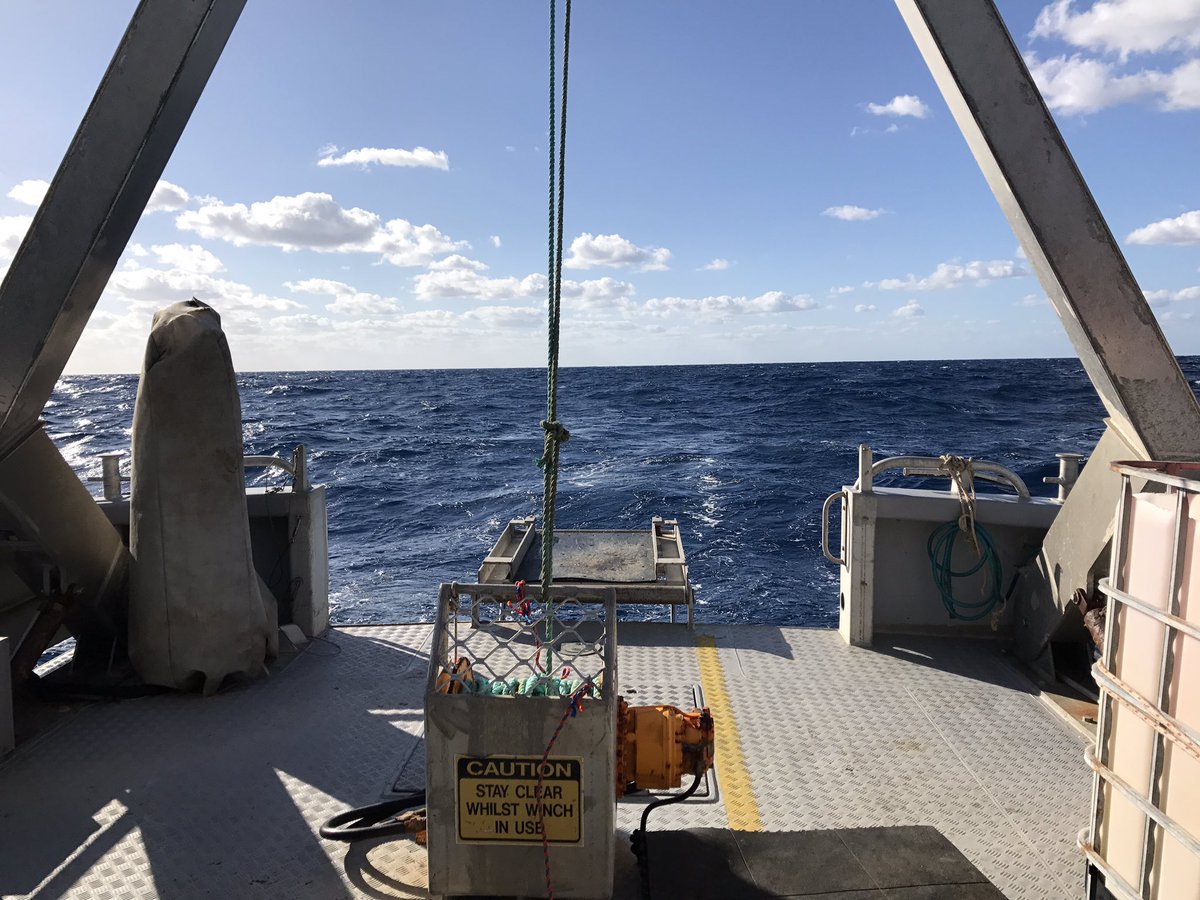 cassdives's tweet photo. Out in the field with @MorganPratchett playing with BRUVs for @mo_leopardus #scientistsinthefield #PratchettLab https://t.co/ICnT5m6U4q