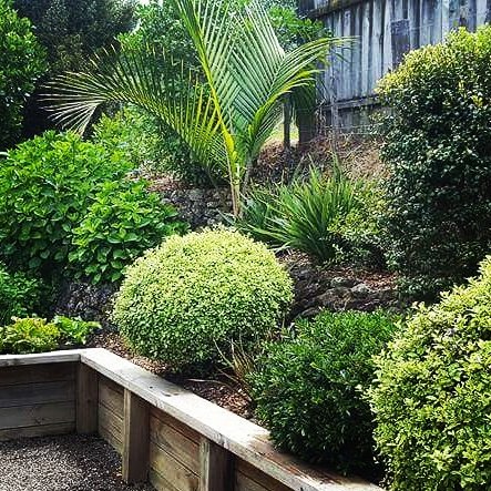 efoster_nz's tweet photo. Building a great landscaped space requires three elements: #colours #structure #textures
#northscape https://t.co/x0zgQlOSop