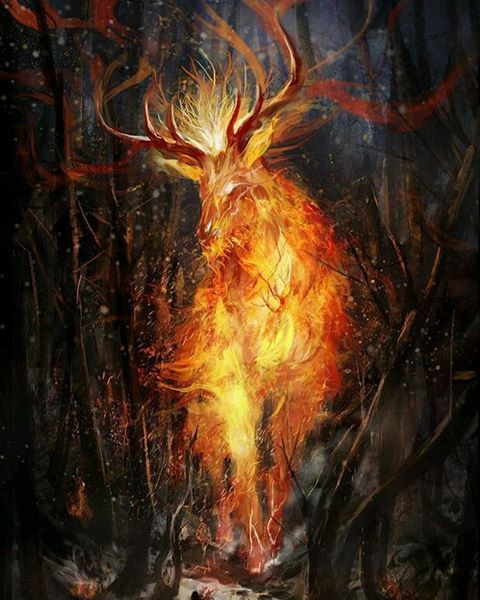 Saltimbank021's tweet photo. Musique de la nuit, Groupe : #heilung song : #krigsgaldr #spirittime #paganmusic #music @Saltimbank021 support https://t.co/umwLkkvkcX โฆ https://t.co/AfWQLv99Zn