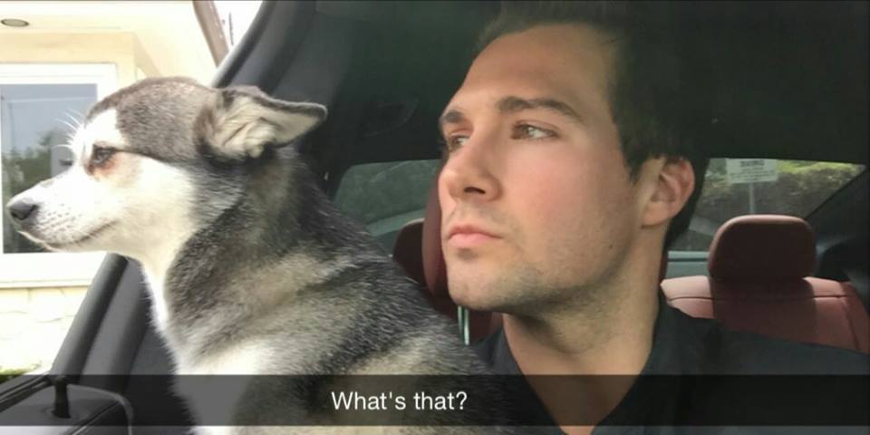 teammaslow_BTR's tweet photo. alguien mas extraña los #Foxphotofriday ??❤ https://t.co/e8yap7L6G2