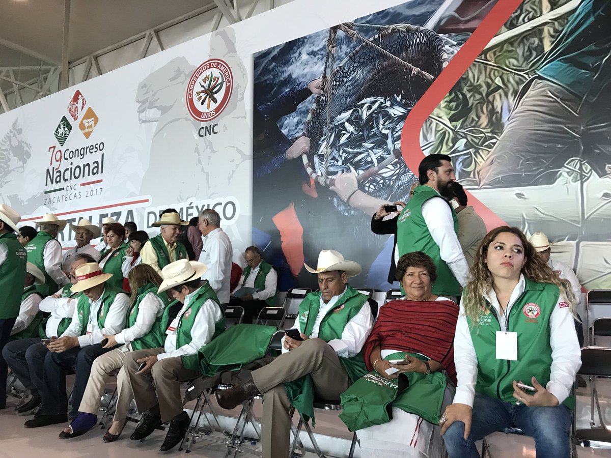 LiliaMendozaOax's tweet photo. Oaxaca presente en Zacatecas, participamos  en el 79 Congreso Nacional Cenecista #ElCampoLaFortalezaDeMéxico @CNC_CEN @alejandromurat https://t.co/IY4hZua5mX