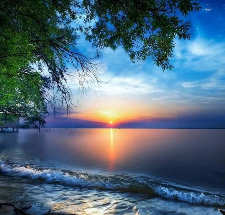 Nivea__mc tweet picture