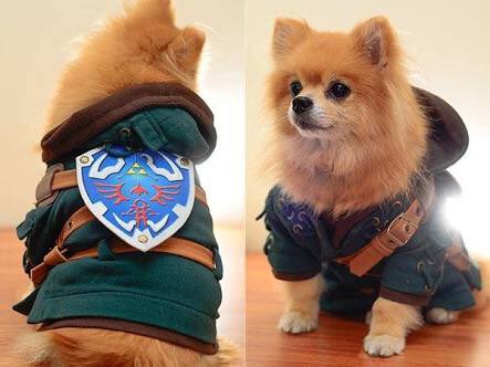 Angry_Link's tweet photo. Happy #NationalDogDay to dogs who clearly deserve this. https://t.co/k3BCsehf5M