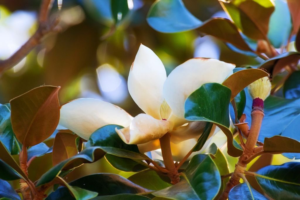 PJNET_CO's tweet image. MT @AuthorBBras: A happy heart makes the face cheerful, but heartache crushes the spirit. #Jesus  #RenewUS #PJNET