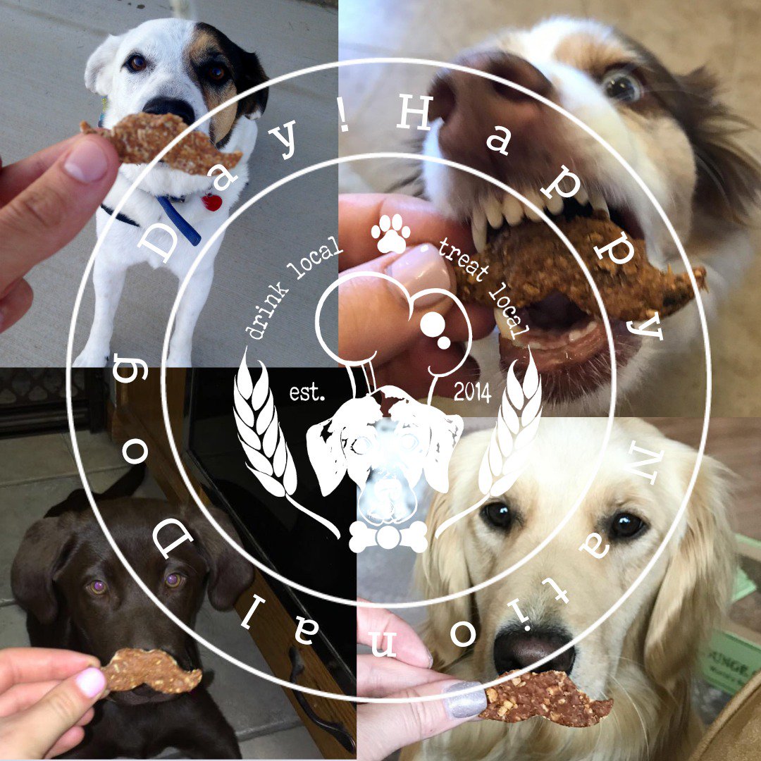 The Malted Mutt tweet media