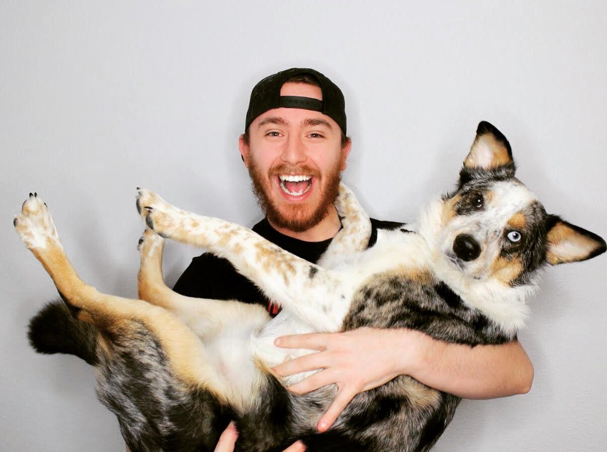 GoldGloveTV's tweet photo. #NationalDogDay https://t.co/rrScQY3ETq