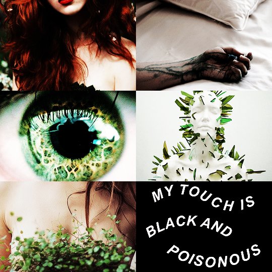 "тнєу cαи вυяу мє ιи тнє grσυиd αѕ fαr αѕ тнєу lιкє, вυт ι'll gяσω вαcк."

❃ semi-detailed rp 
❃ mature content
❃  any ship
❃ 9 + experience