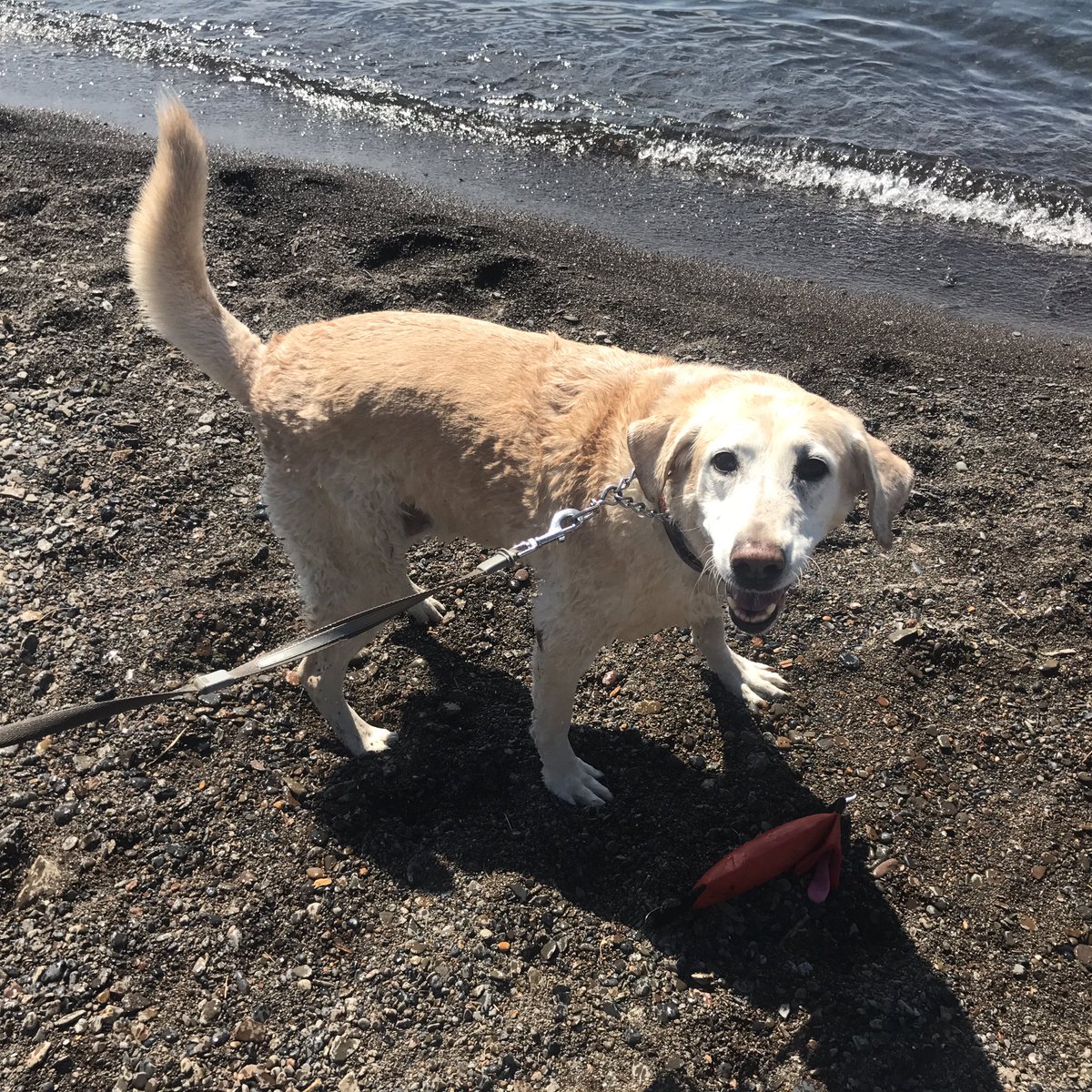 Annie Olander tweet media