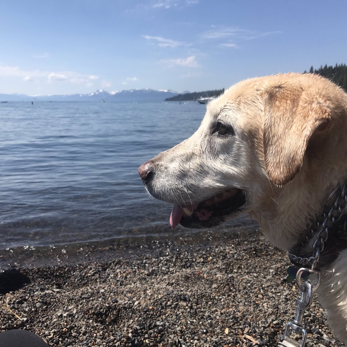 Annie Olander tweet media