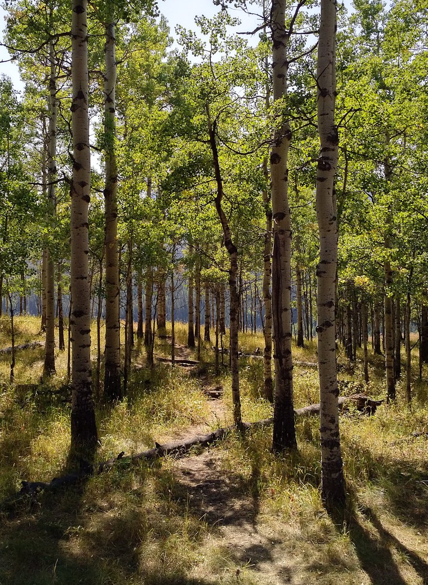 Spent time here today. There will be paintings from this :)
#whatipaint #justanimagejunkie