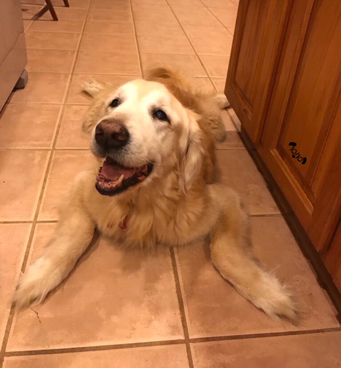 For the last time, we only rate dogs dog_rates Commaful