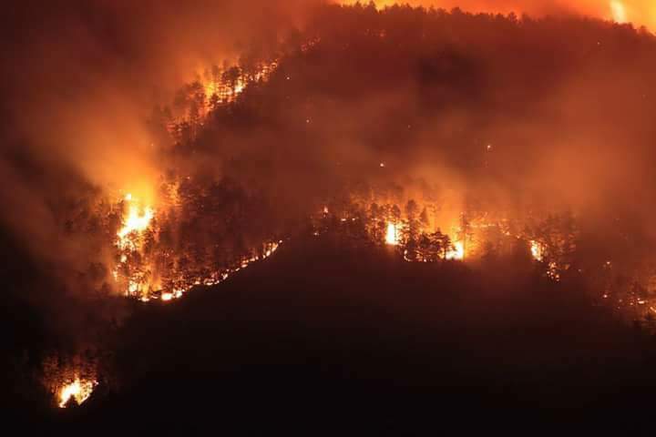 SelPanda's tweet photo. Un ringraziamento a quel demente che per sfizio ha incendiato #Morrone che da 7 giorni è in fiamme...ti farei fare la stessa fine!!merda https://t.co/d8KiqaYTEi