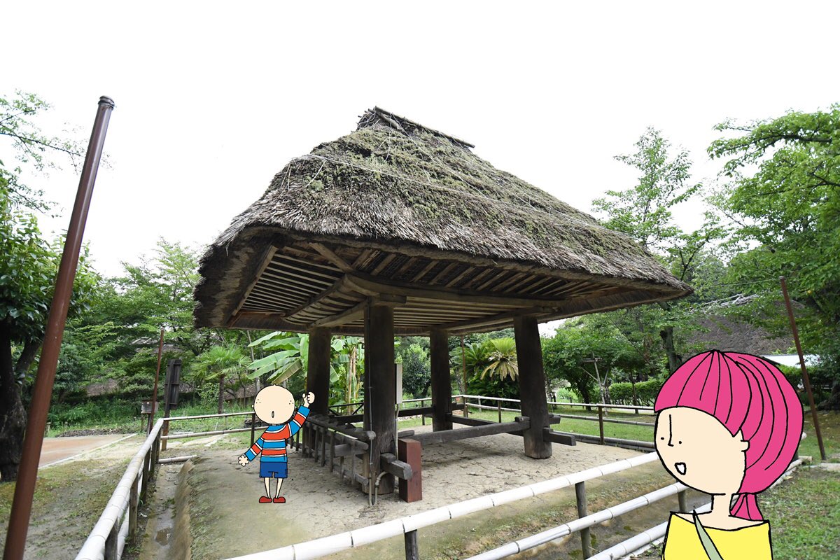 Bob_OGTB's tweet photo. Good morning! #OsakaBob here♪
More #OsakaExploring at the Open-Air Museum of Old Japanese Farmhouses today♪
This one is a raised storehouse☆ https://t.co/ZomjfTJuiP